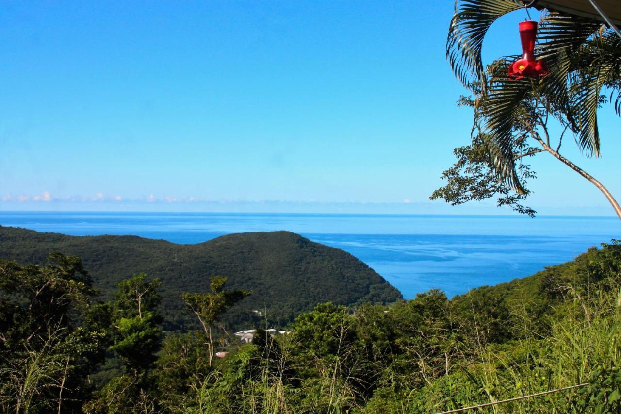 Beausejour Guest House Pointe-Noire Bagian luar foto