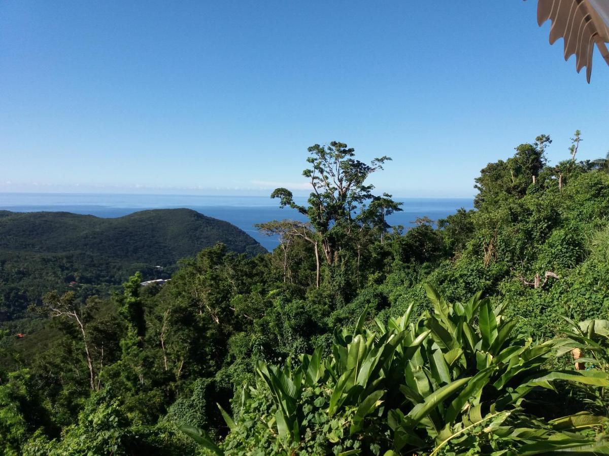 Beausejour Guest House Pointe-Noire Bagian luar foto