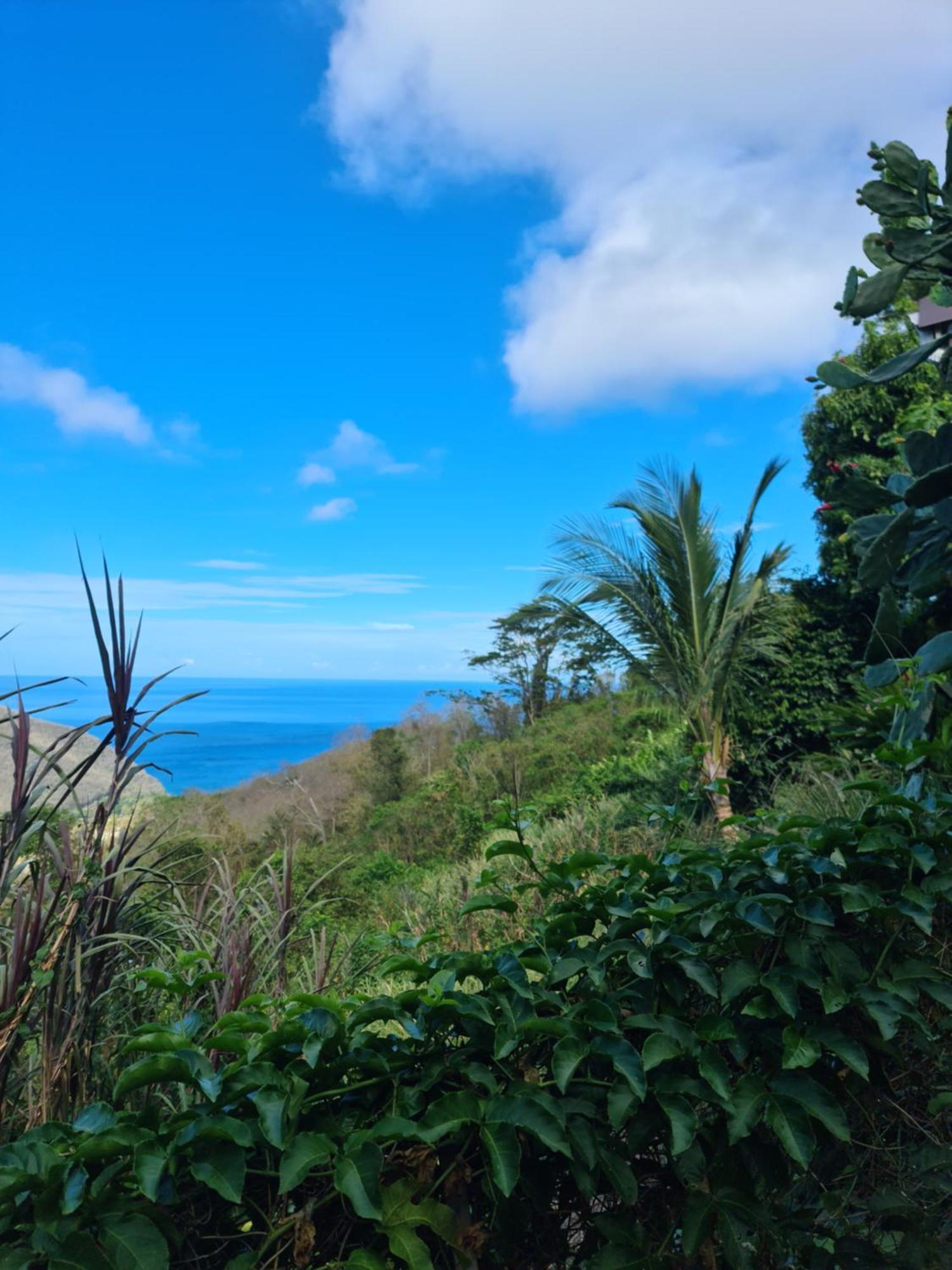 Beausejour Guest House Pointe-Noire Bagian luar foto